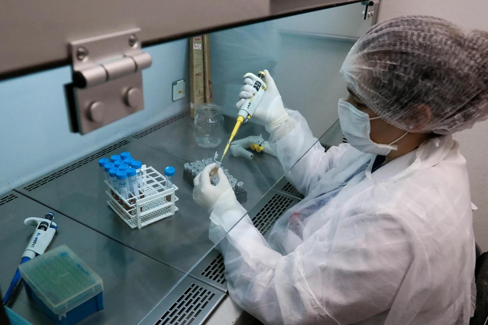 Fapesc encerra 2025 com 70 editais lançados e registra o maior volume de chamadas públicas em 28 anos