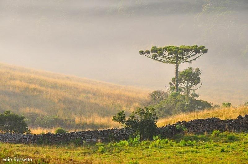 Fim de semana terá momentos com sol e chuva