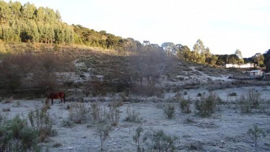 Temperaturas oscilaram entre 2ºC e 7ºC na região de Criciúma