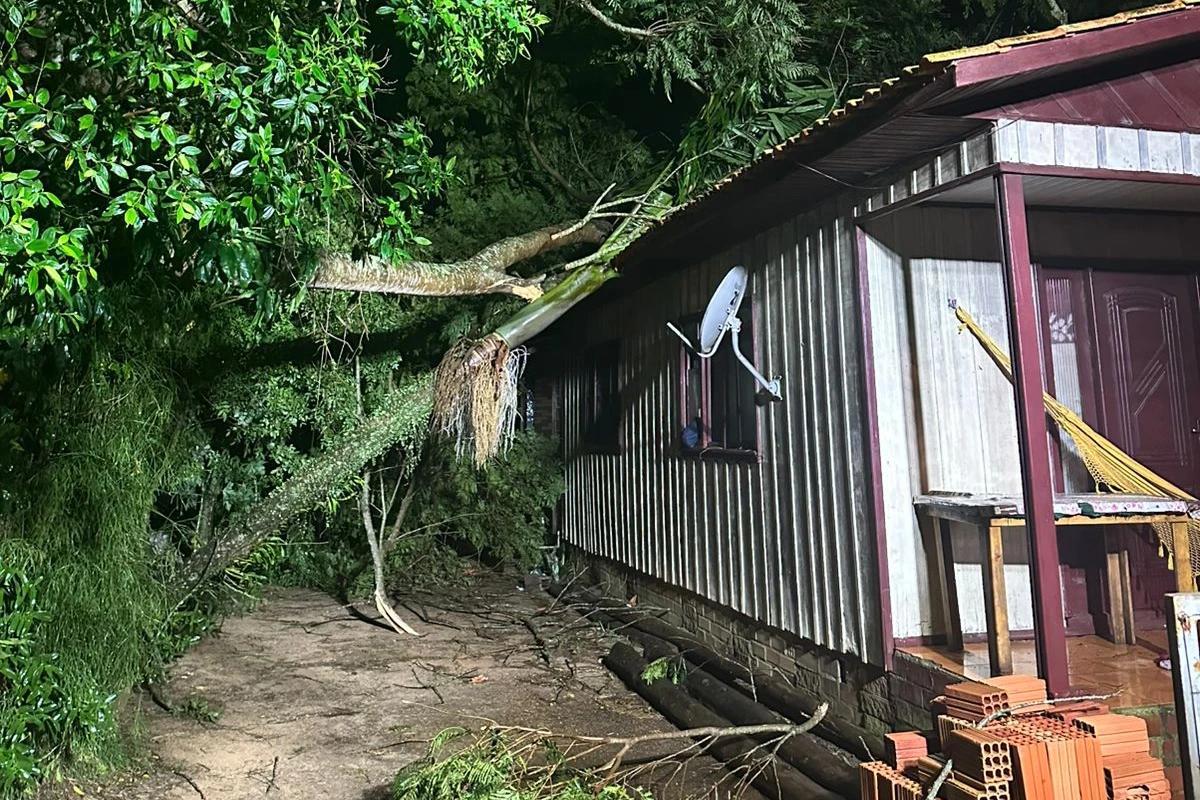 Árvore cai sobre casa em Araranguá e bombeiros são acionados