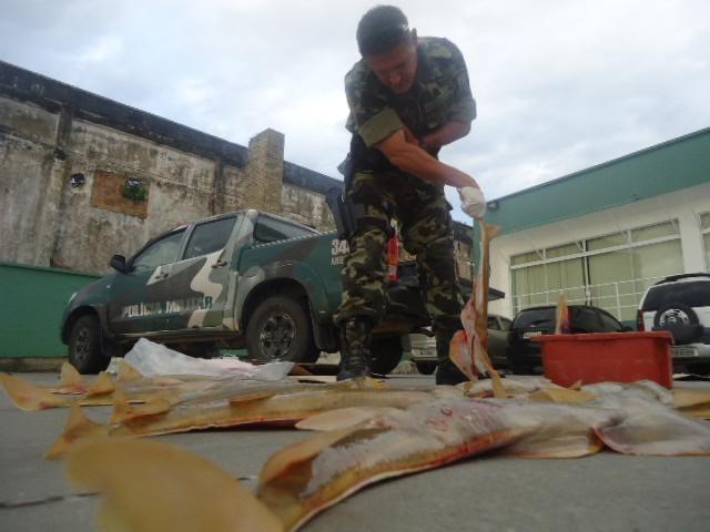 Dupla é presa por vender peixes ameaçados de extinção