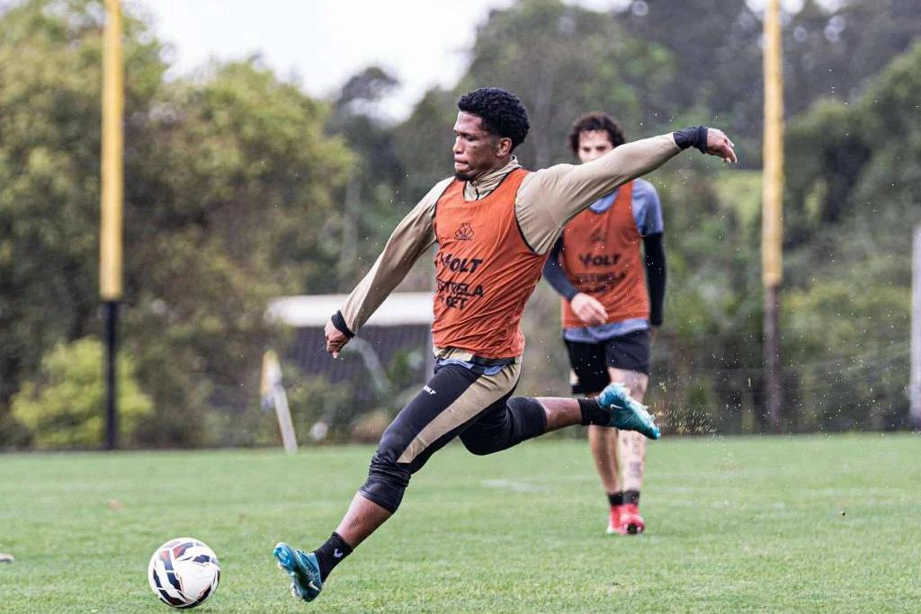 Ao vivo: debate analisa possibilidade do Tigre ser campeão