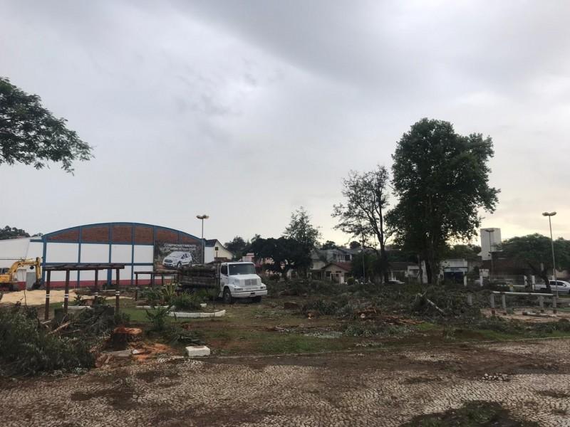 Prefeitura de Criciúma emite nota oficial sobre corte de eucalipto na Praça da Chaminé