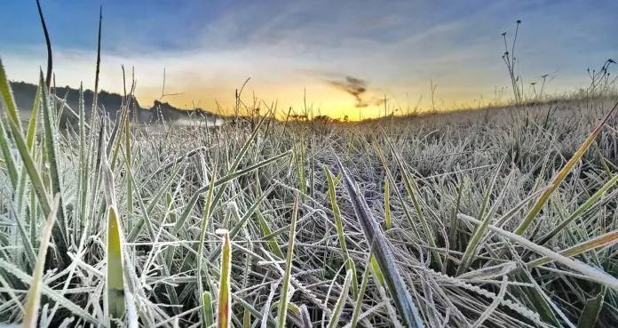 Serra catarinense registra geada ao amanhecer e temperatura de -0,1ºC