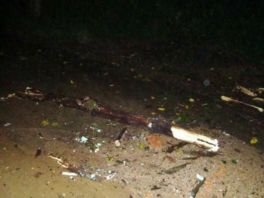 Queda de galhos em fios de alta tensão assusta moradores