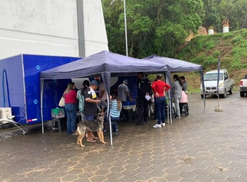 113 animais foram castrados no último sábado, em Urussanga  