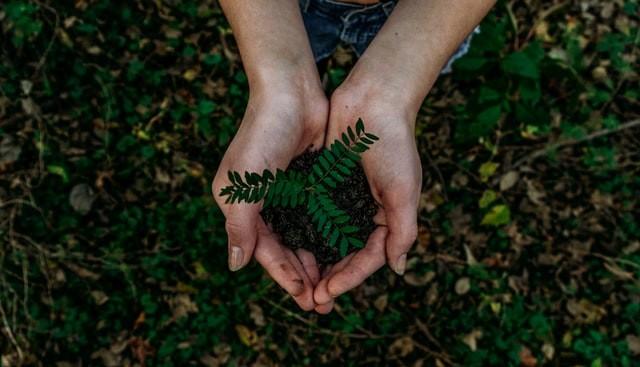 Semana do Meio Ambiente: mesa redonda sobre resíduos sólidos ocorre nesta quinta-feira em Criciúma