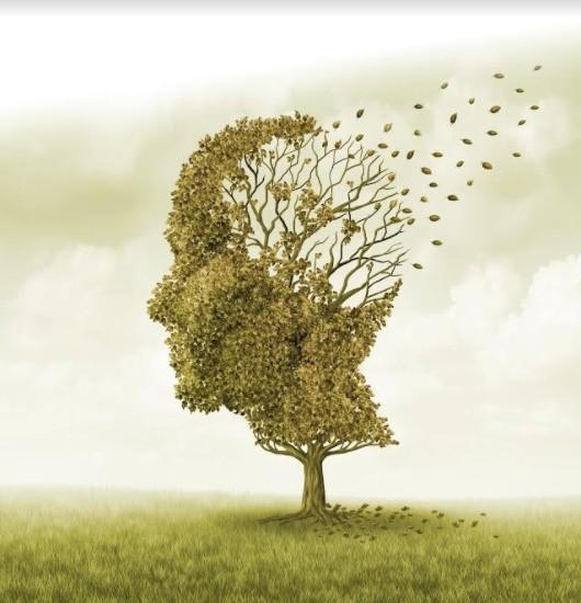 Por que o diagnóstico de Alzheimer é tão importante?