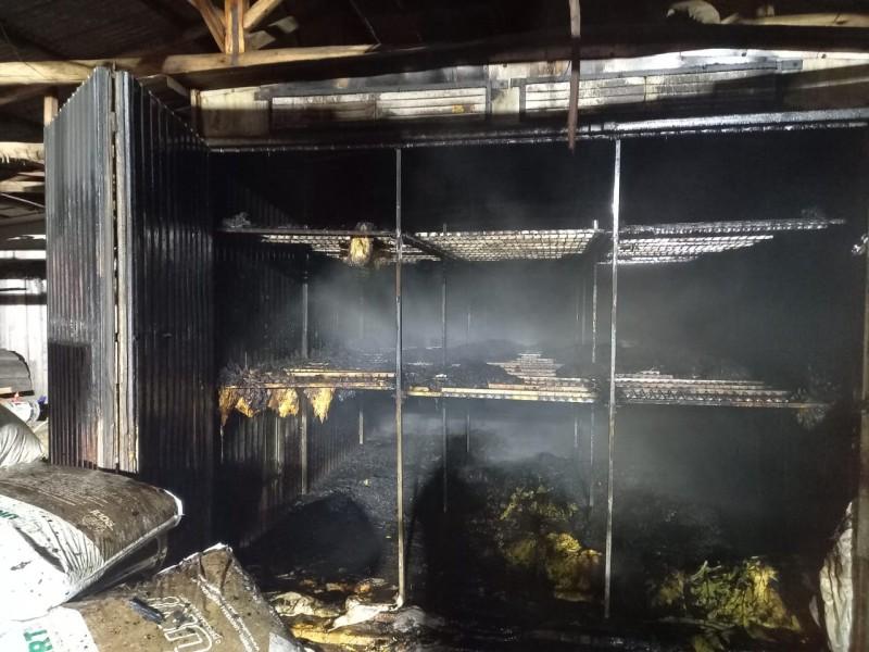 Estufa de fumo pega fogo em Urussanga