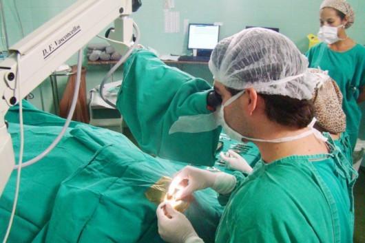 Retomada de transplante de córneas beneficia 31 pacientes