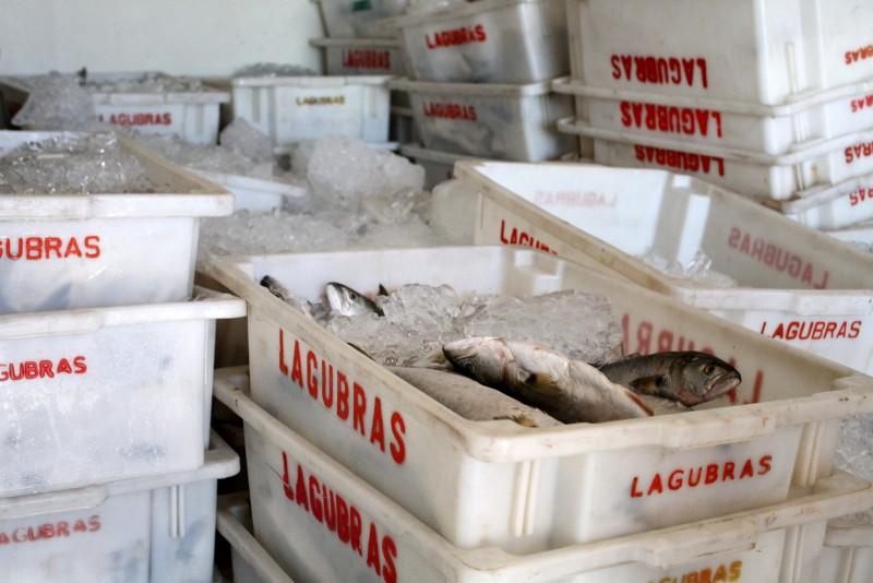 Prefeitura distribui peixes apreendidos para famílias carentes