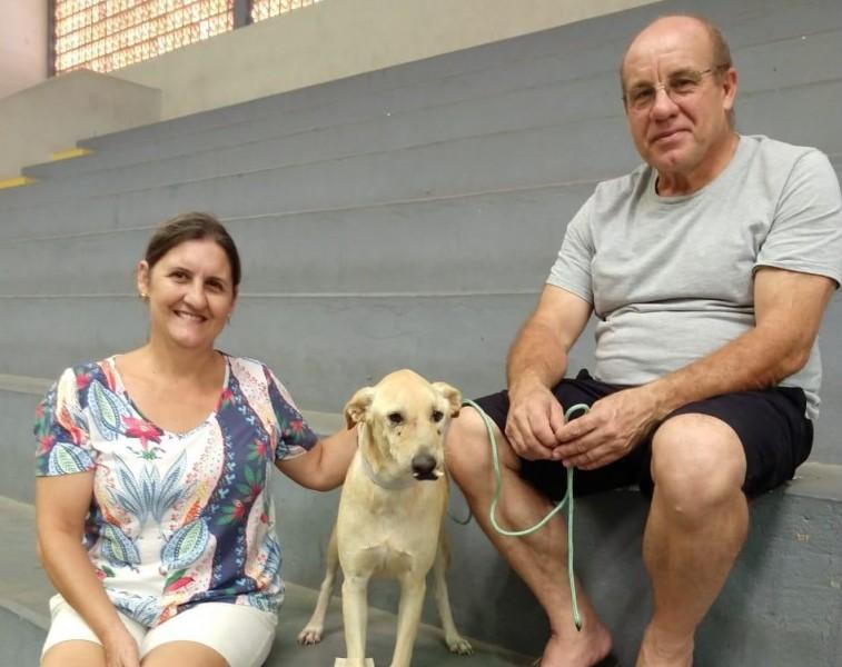  Mutirão castra 70 animais em sua oitava edição em Nova Veneza