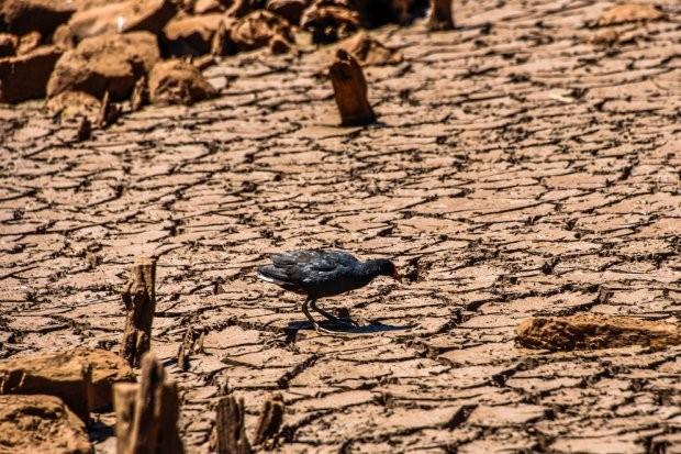 Boletim Hidrometeorológico: previsão de chuvas abaixo do esperado segue nos primeiros meses de 2022