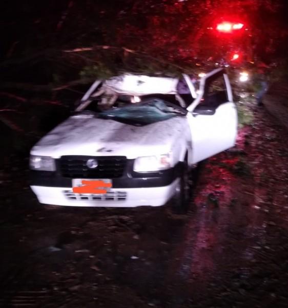 Carro colide em árvore na pista; motorista e criança se feriram