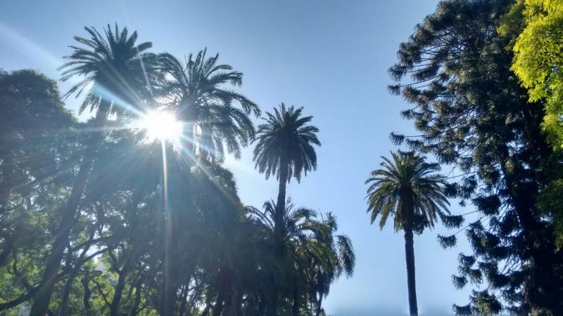 Sensação térmica pode chegar a 50 graus nos próximos dias