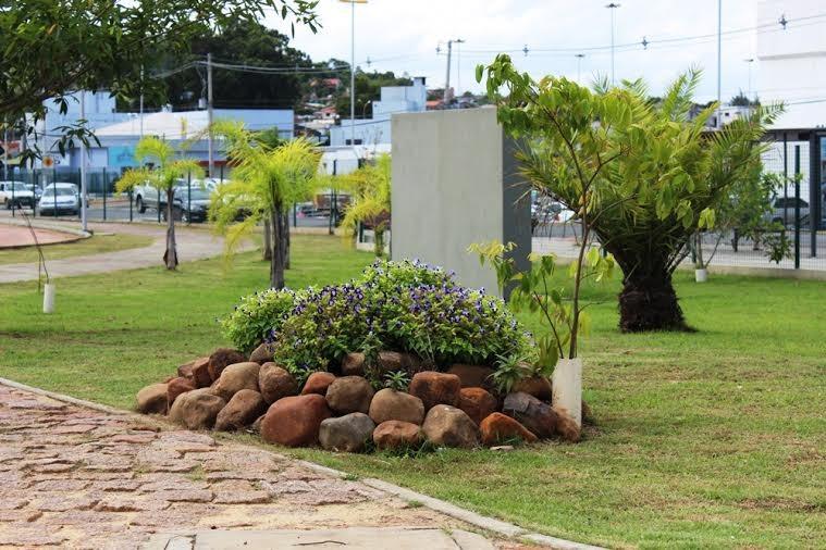 Parque das Nações terá mais sombra, flores e frutos