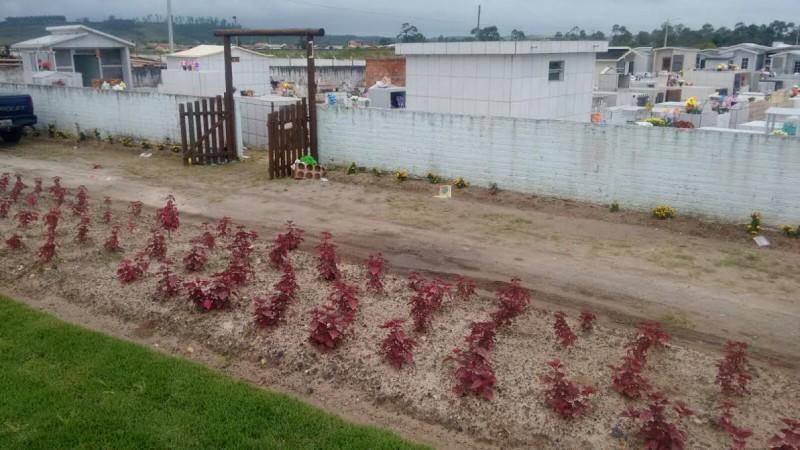 Obras de revitalização são realizadas no Cemitério