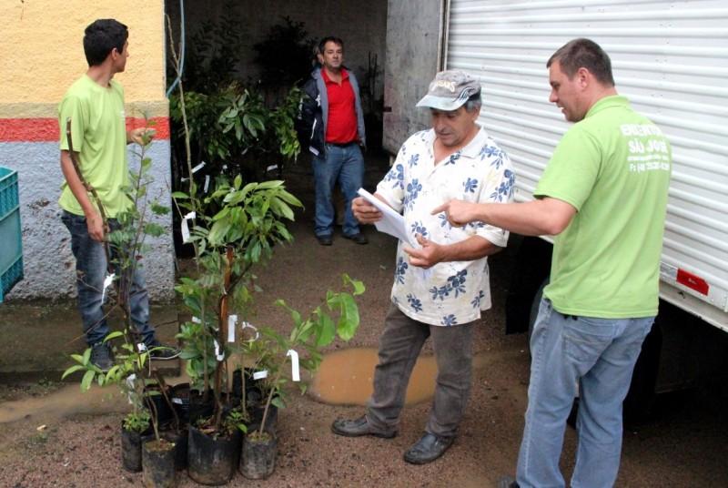 Mudas são entregues à agricultores içarenses