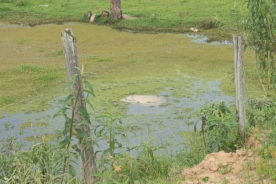 Carro fica submerso após sair da rodovia em Termas do Gravatal
