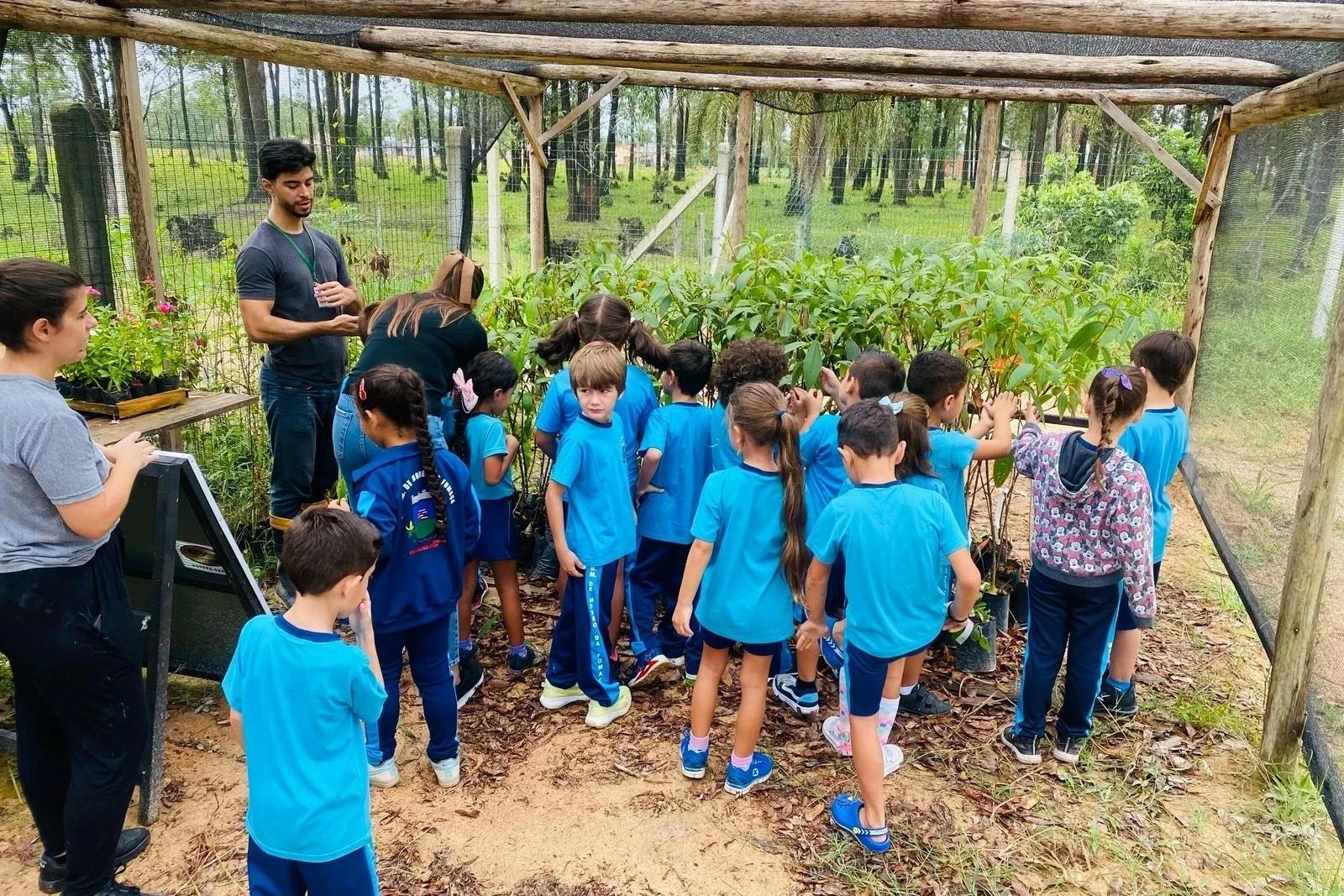 Em ação de educação ambiental, alunos visitam horto florestal de Morro da Fumaça