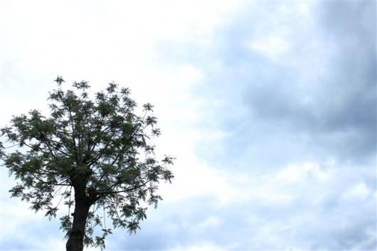Céu limpo e temperaturas amenas no fim de semana