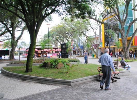 Canteiros da Praça Nereu Ramos revitalizados