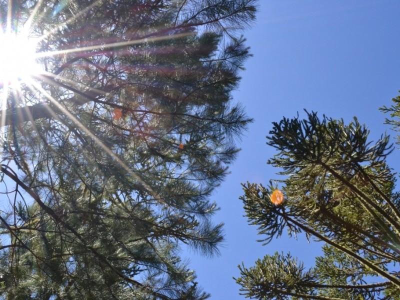 Defesa Civil dá dicas para enfrentar onda de calor com segurança