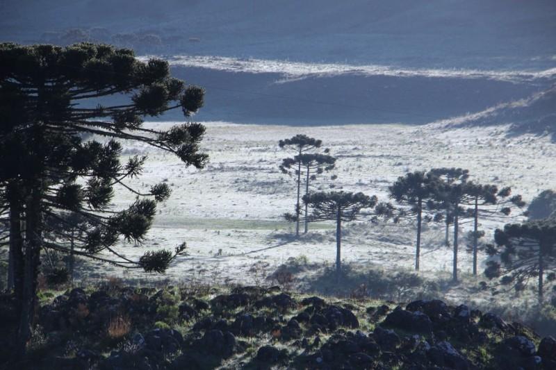 “Neve mais provável a partir das 16 horas de hoje”, afirma climatologista
