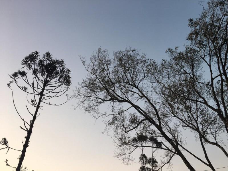 Criciúma amanhece com temperatura de 1.9ºC; fim de semana será de sol e frio intenso