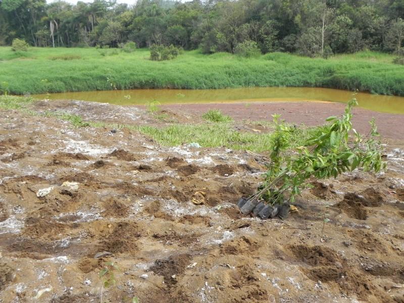 Mais de 24 mil mudas de árvores serão plantadas às margens do Rio Sangão