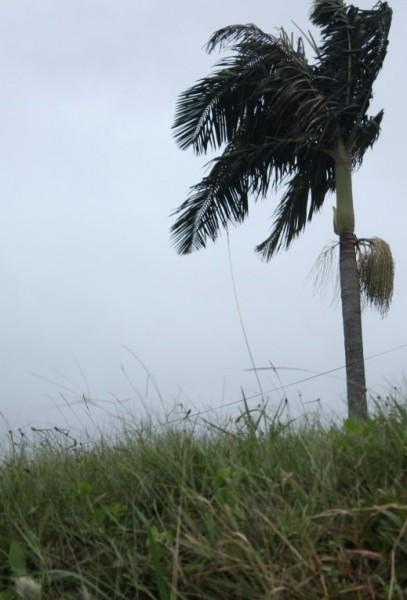 Frente fria chega a Criciúma nesta manhã