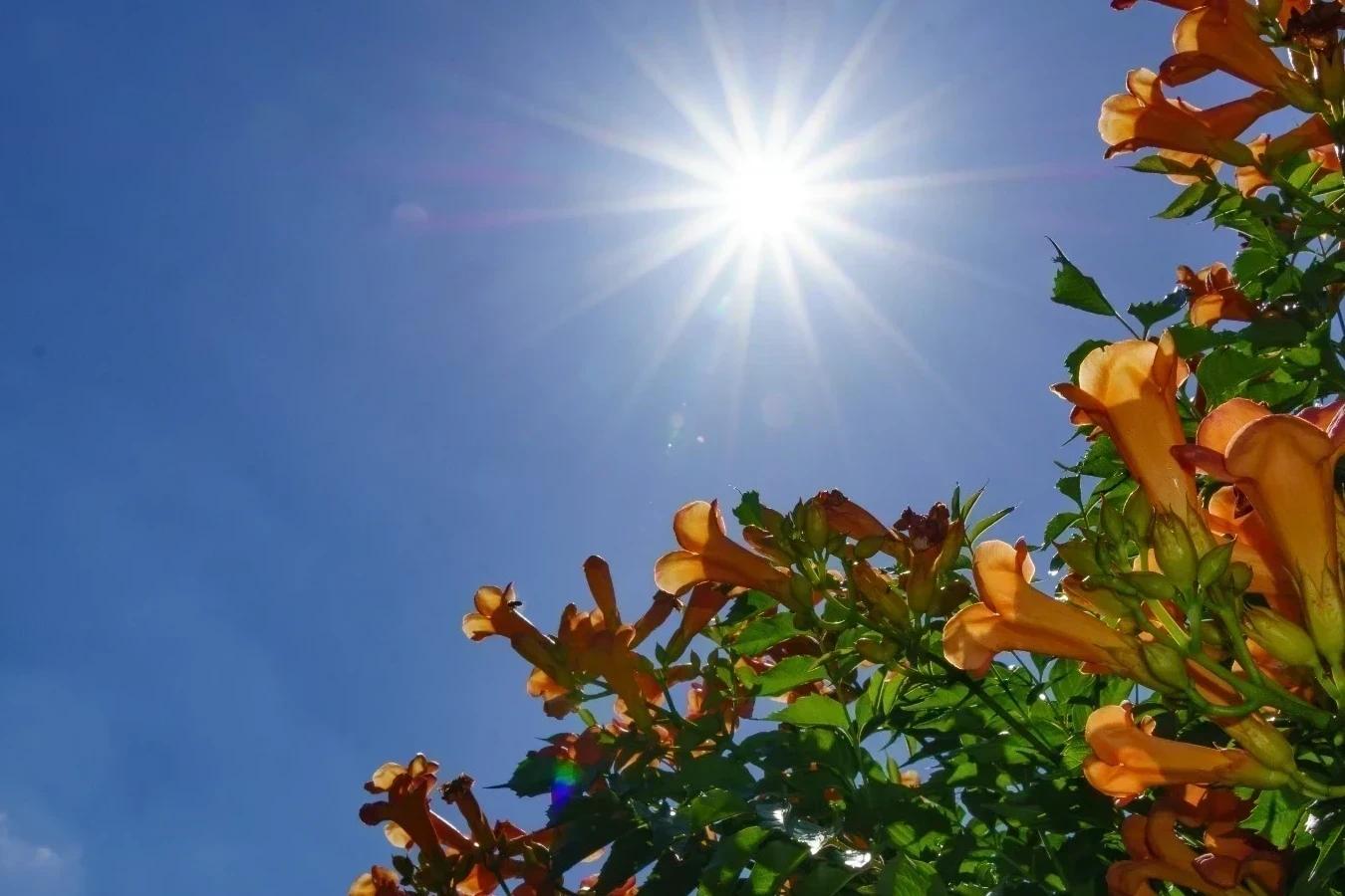 Vai dar praia: sol e calor marcam o sábado no Sul catarinense