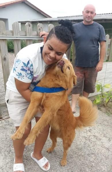 Cadela resgatada pela PRF na BR-101 em Tubarão é devolvida à dona
