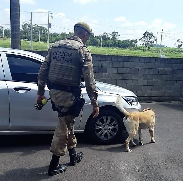 BR-101: traficante é preso ao ser flagrado transportando dois quilos de cocaína em Araranguá