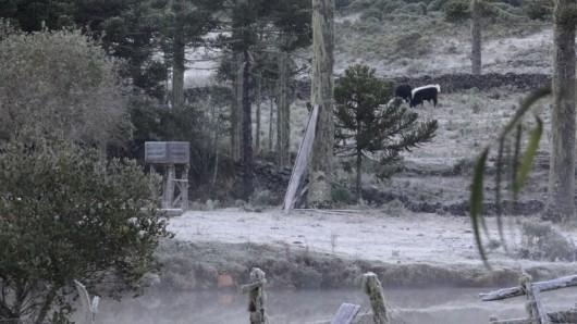 Urupema registra -5°C na manhã desta quarta-feira
