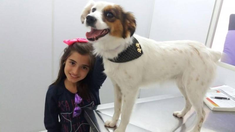 Mutirão de castração de cães e gatos neste sábado a preço de custo