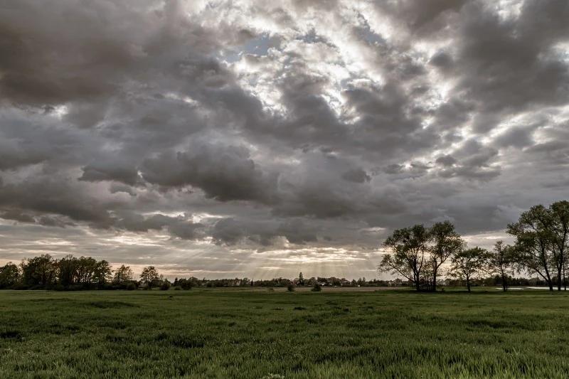Primeira semana de novembro será marcada por calor e chuva