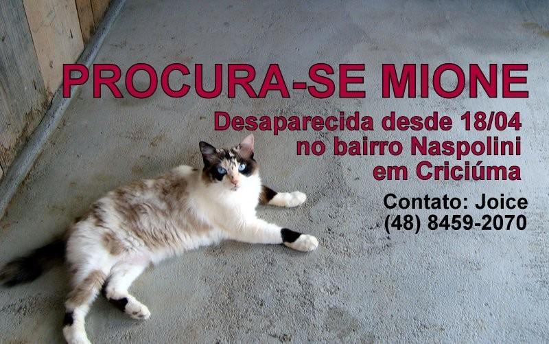 Procura-se Mione