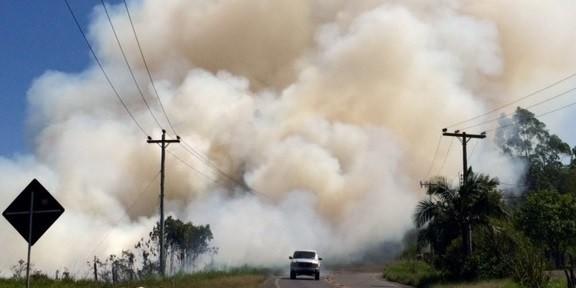 Incêndio destrói vegetação às margens de rodovia 