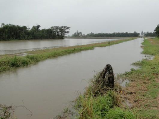 No Sul de Santa Catarina, cidades enfrentam problemas com a chuva
