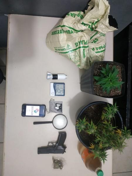 PM apreende dois pés de maconha e um simulacro de arma de fogo em Içara 