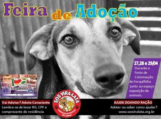 Festa do Centenário de Forquilhinha recebe feira de adoção