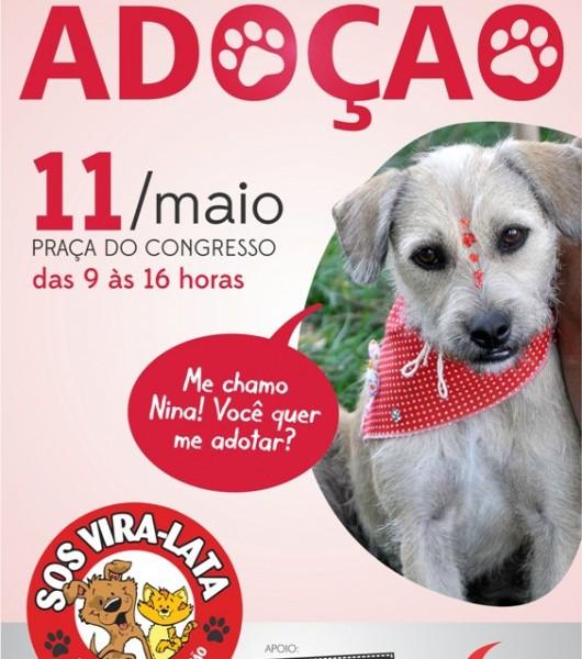 Feira de adoção neste sábado, dia 11, na praça do Congresso