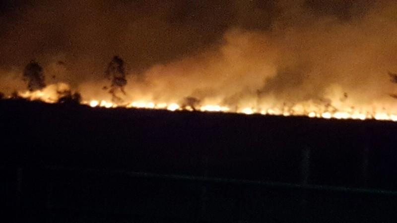 VÍDEO: Incêndio atinge dez hectares de vegetação e mobiliza bombeiros