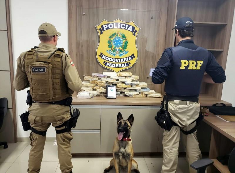 Drogas apreendidas em Lages seriam entregues em Criciúma