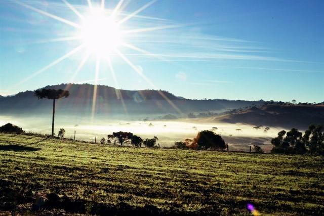 Em São Joaquim, Inverno inicia com geada