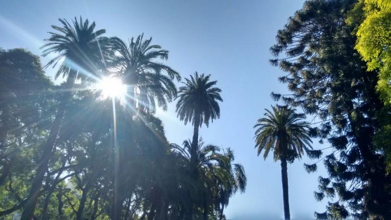 Madrugada desta segunda-feira foi uma das mais abafadas do Verão