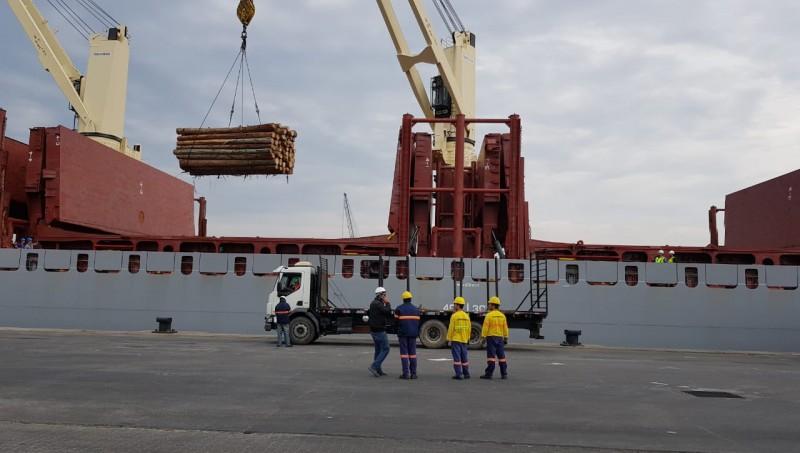 Porto de Imbituba realiza primeiro embarque com novo processo de exportações