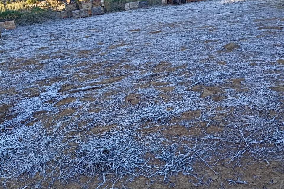 Frio provoca formação de geada em Bom Jardim da Serra nesta quinta-feira