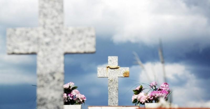 Confira dicas de flores para homenagens do Dia dos Finados